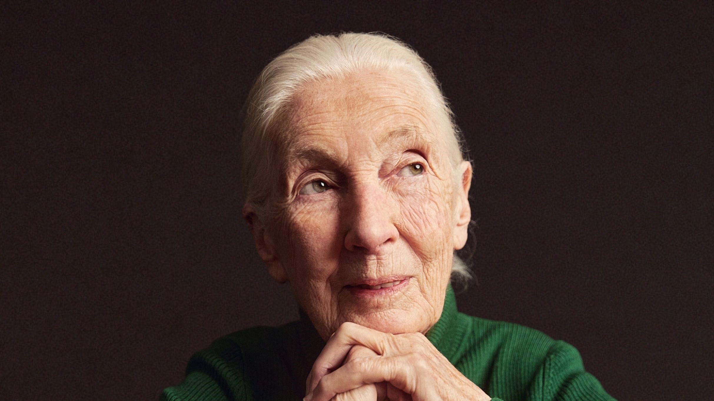 An Evening With Jane Goodall presale information on freepresalepasswords.com