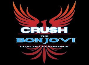 The Bon Jovi Experience