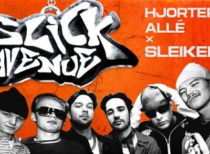 Bilde for arrangement Hjorterud Allé x Sleiken