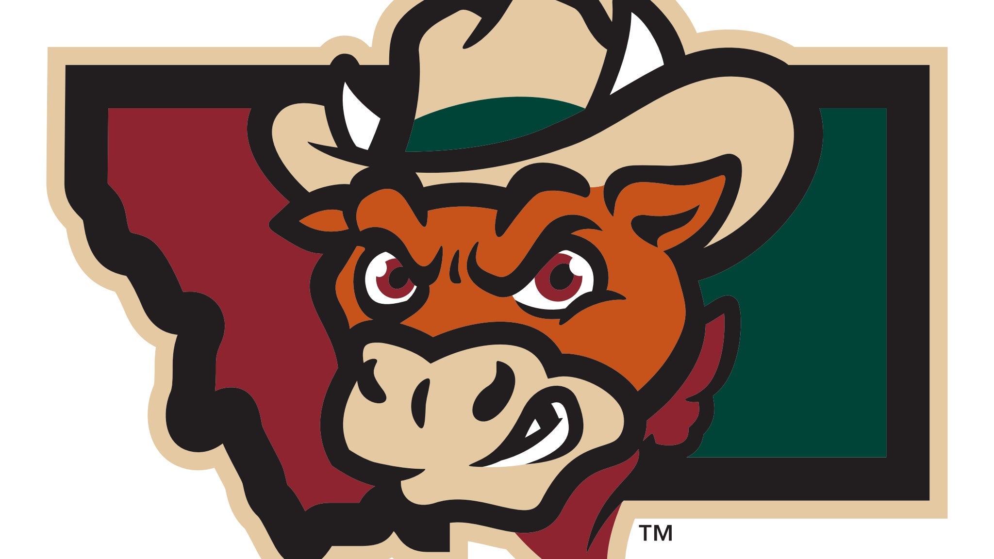 Billings Cattle Punchers