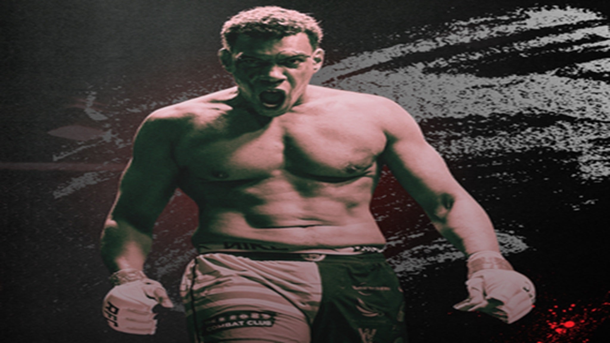 Mixed Martial Arts