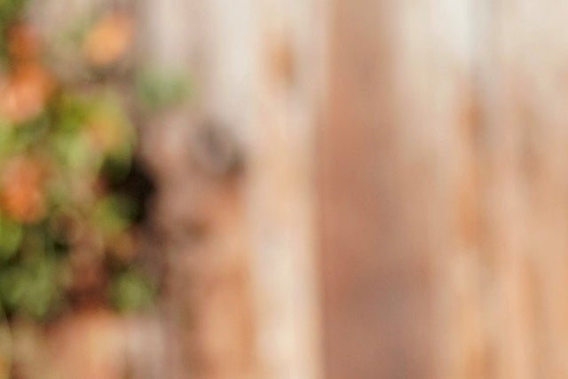 Lyle Lovett in Kamloops promotional photo for Venue presale tickets offer