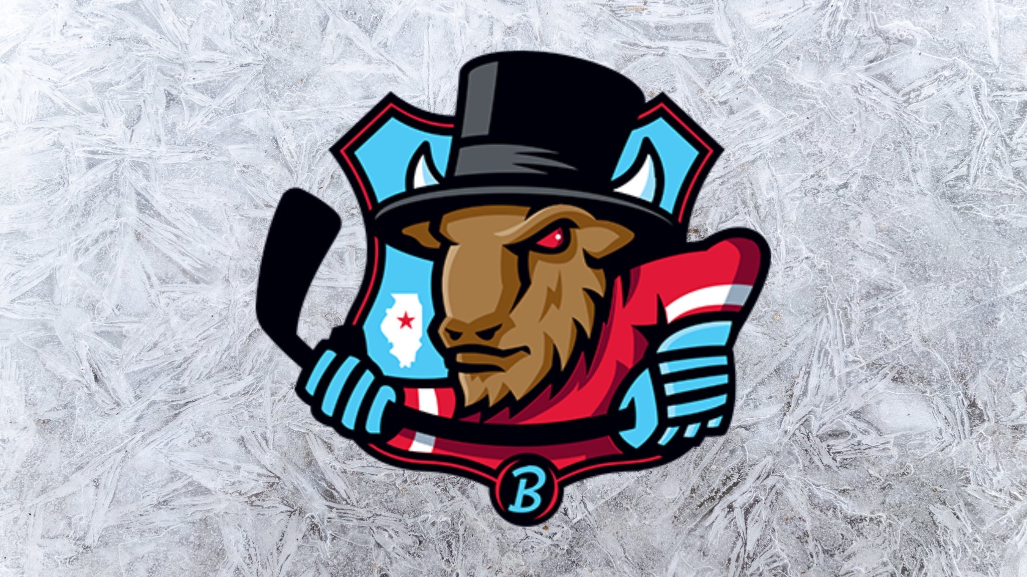 Bloomington Bison vs. Kalamazoo Wings