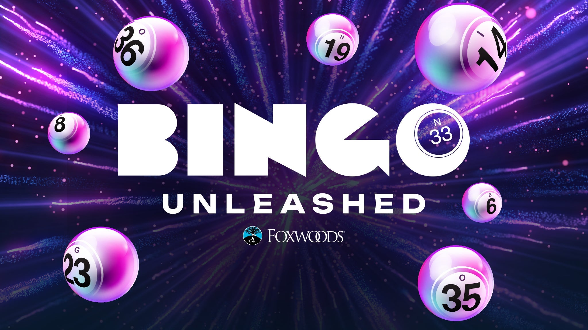 Bingo Unleashed 