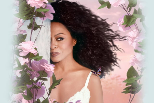 Diana Ross presales in Napa