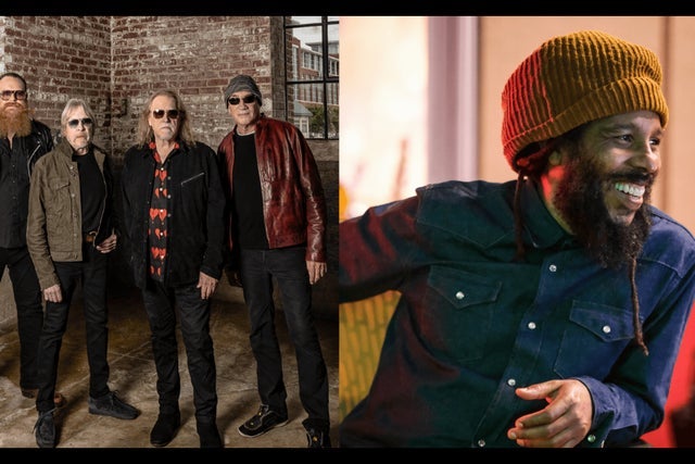 Presales to ziggy marley and gov't mule: members use these when buying pre-sale tickets