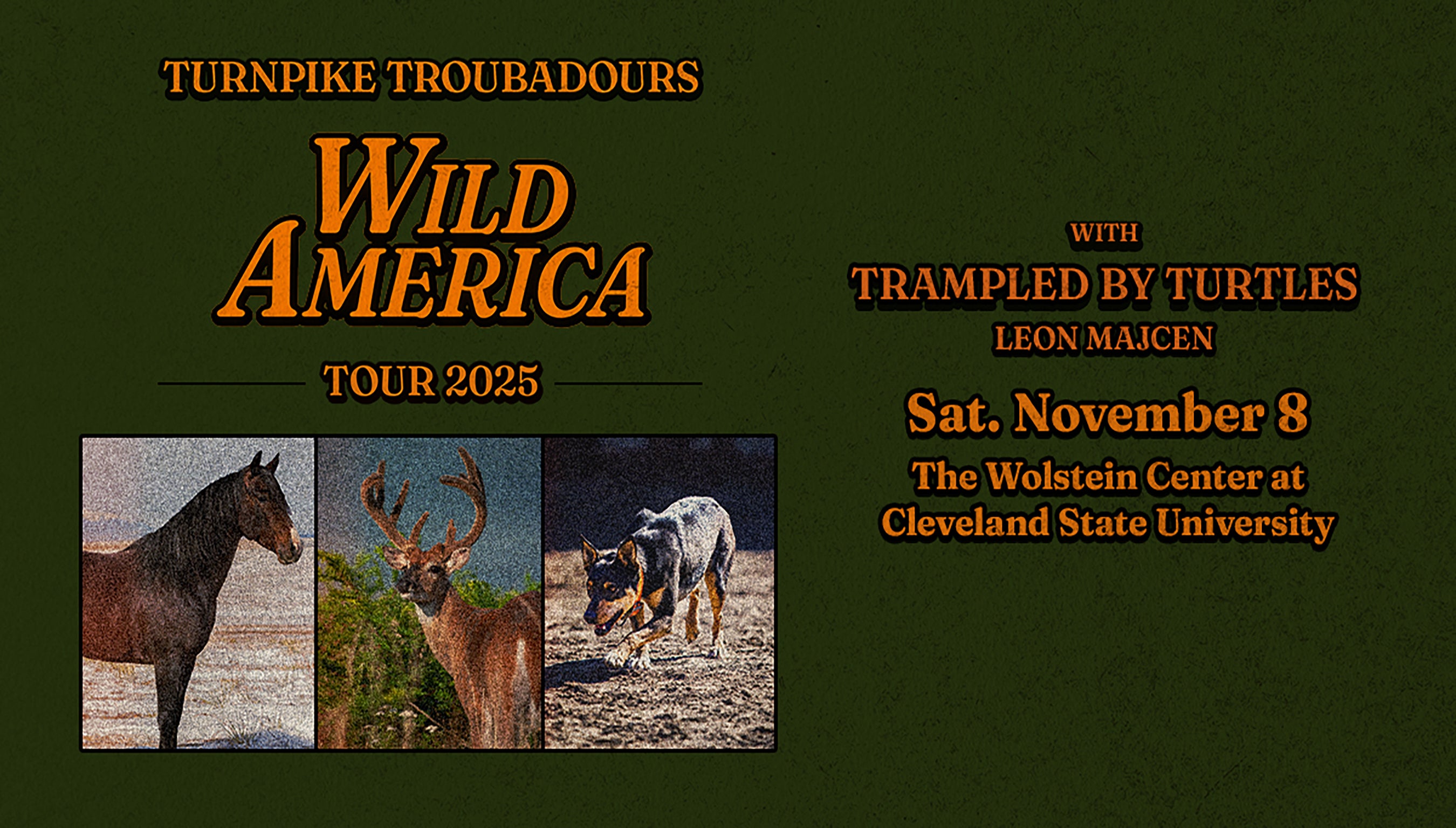 Turnpike Troubadours: Wild America Tour