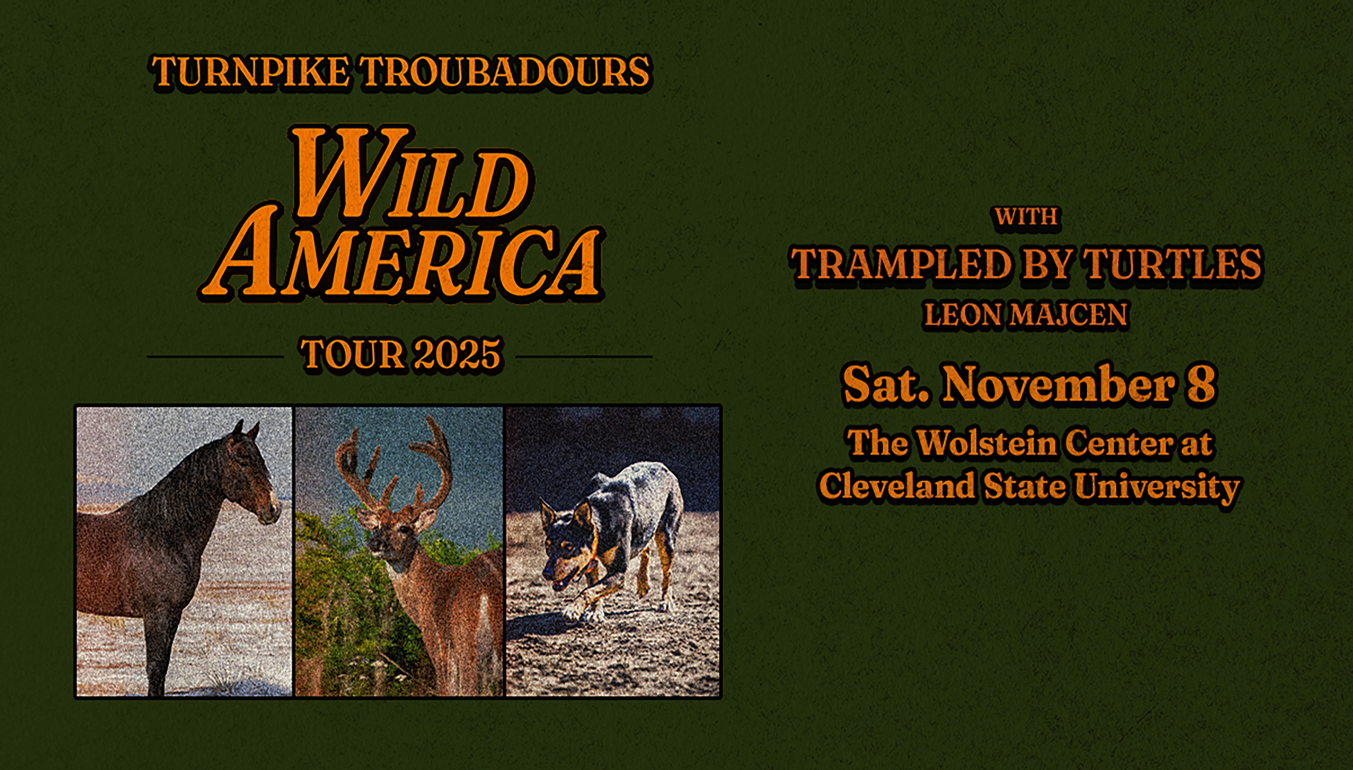 Turnpike Troubadours: Wild America Tour