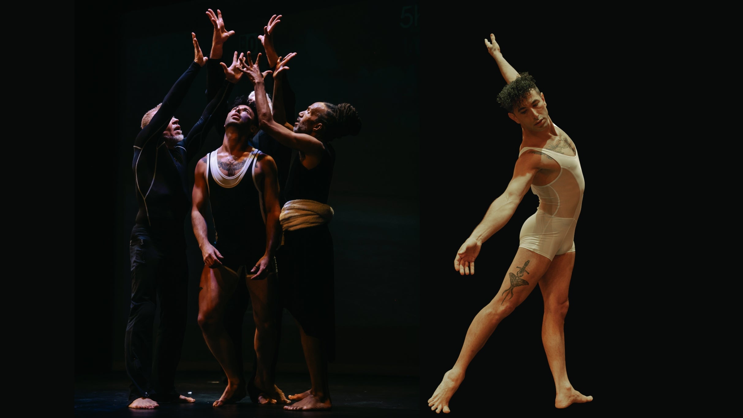 Pioneer Winter Collective - Apollo