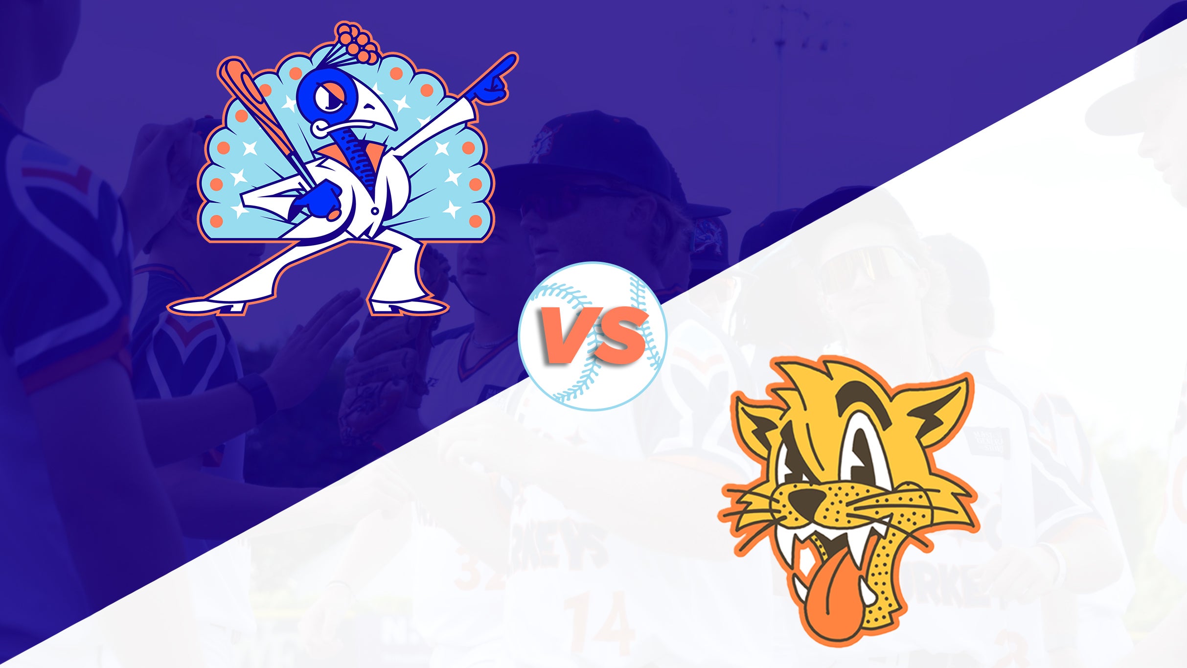 Carolina Disco Turkeys Vs Uwharrie Wampus Cats