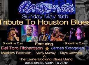 Tribute to Houston Blues