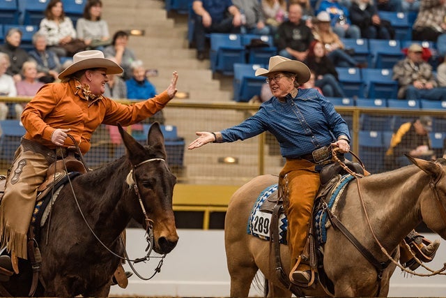 Draft Horse Show - Sat. Jan. 23 1pm