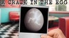 A Crack in the Egg (a new rock musical)