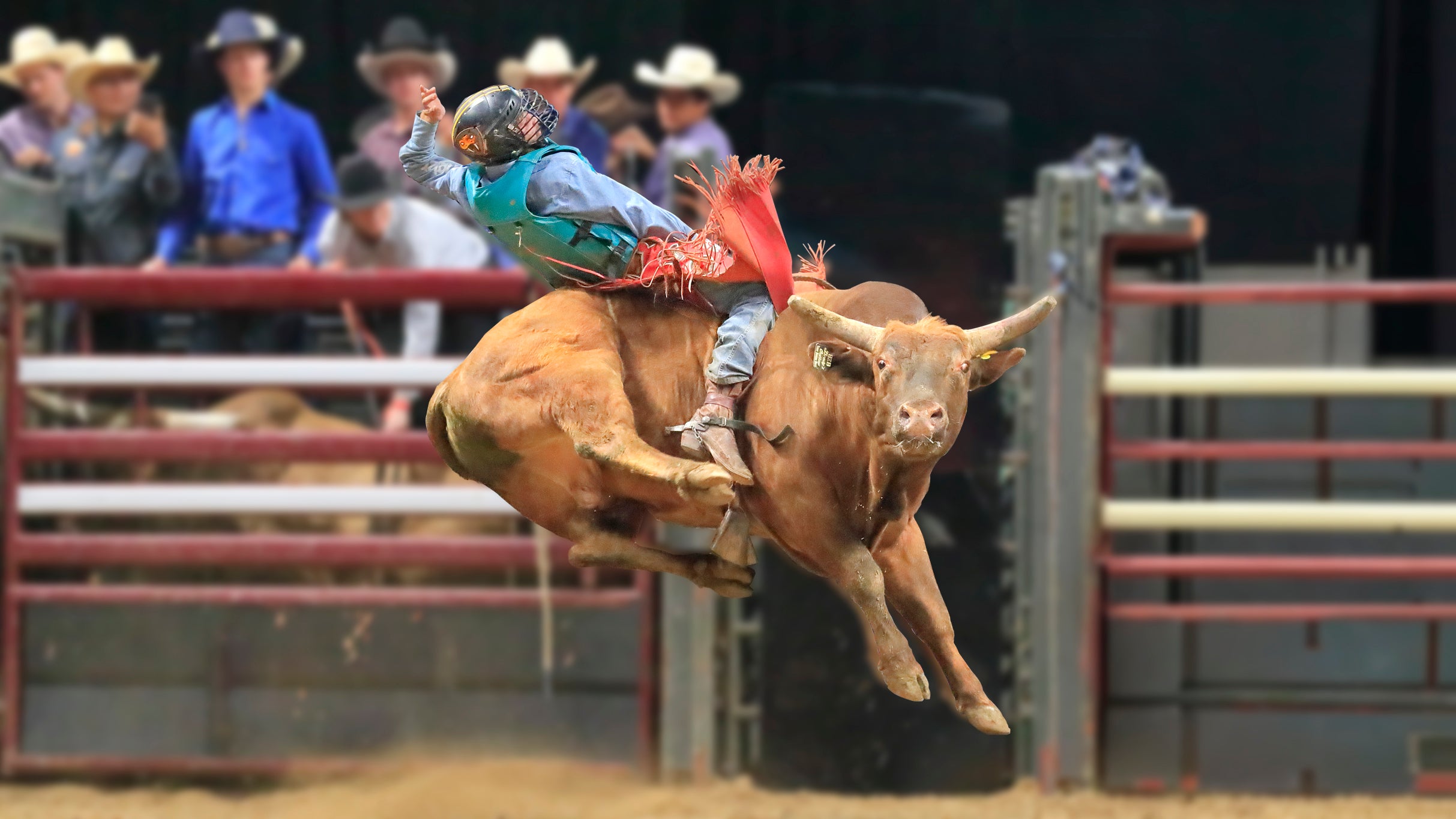 Mile High Bull Bash