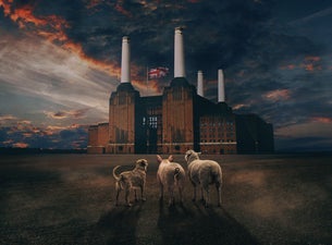 Brit Floyd - Animals 50 — gig artwork