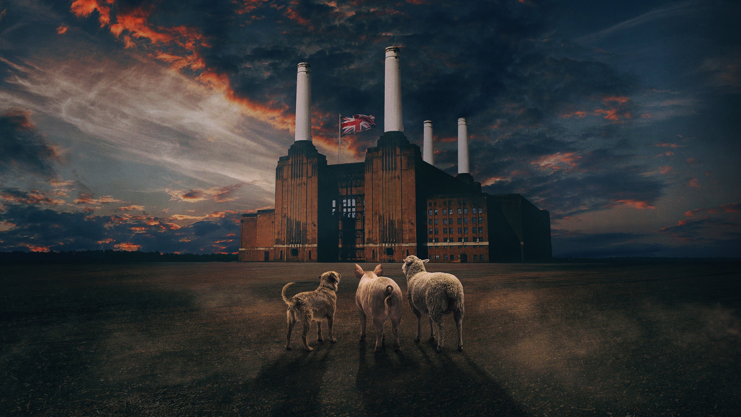 Brit Floyd - Animals 50