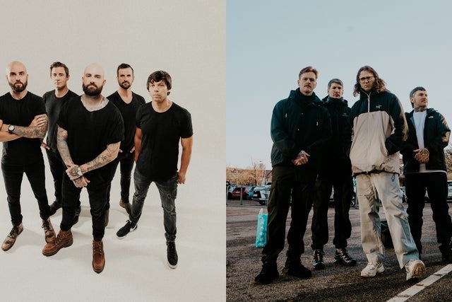 Presales to the amity affliction: members use these when buying pre-sale tickets