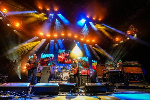 Presales to gov't mule (18+): members use these when buying pre-sale tickets