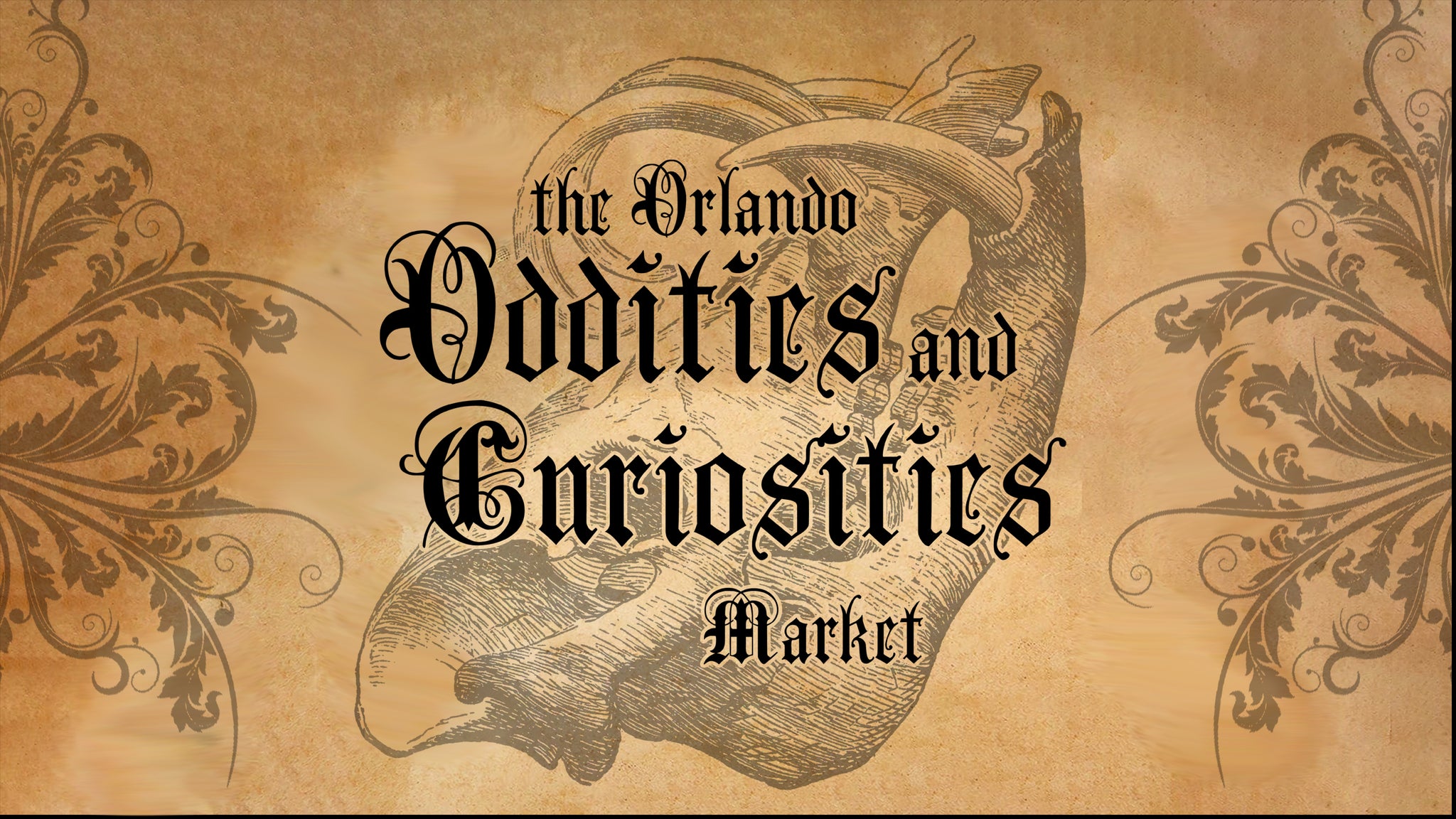 Orlando Oddities and Curiosities Market 
