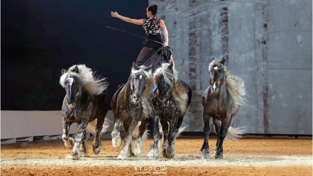 PFERD BODENSEE 2026 | Gala show: "Im Takt der Pferde"