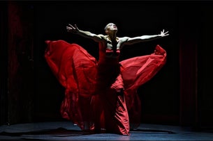 Isabelle Beernaert - ROUGE show poster