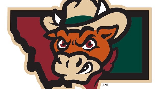 Billings Cattle Punchers