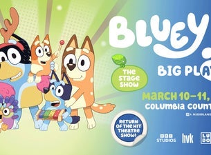 Bluey's Big Play