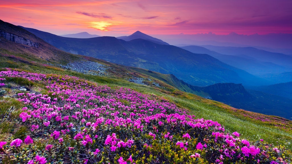 Photo of North Carolina Symphony - Appalachian Spring