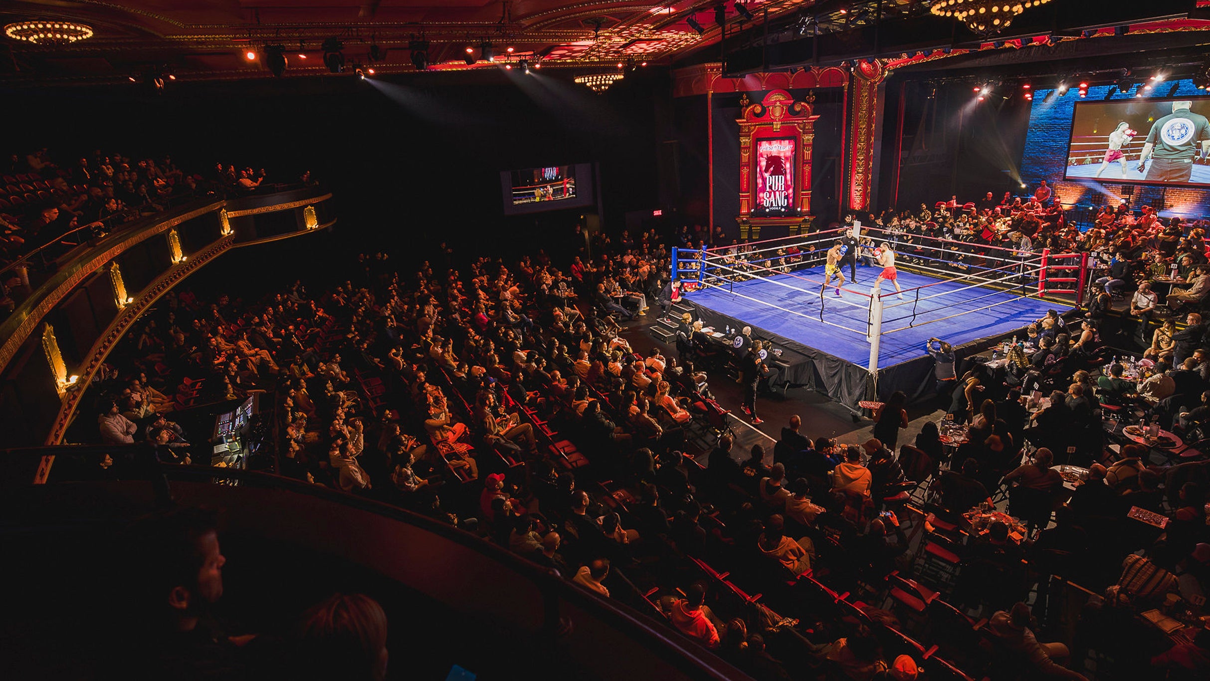 SILVERTOOTH KICKBOXING