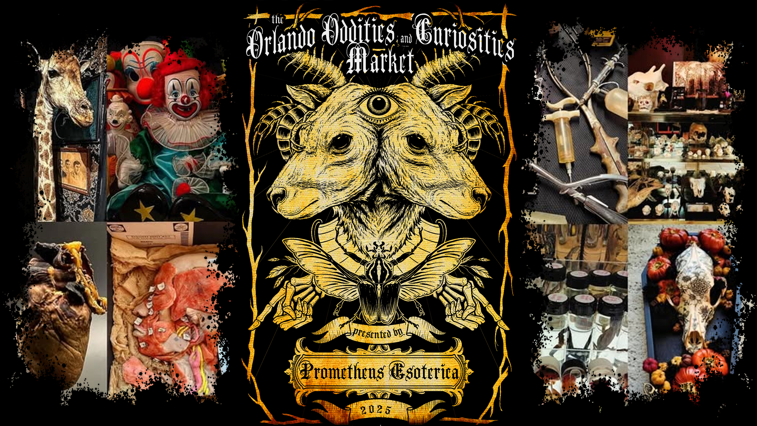 The Orlando Oddities and Curiosities Market