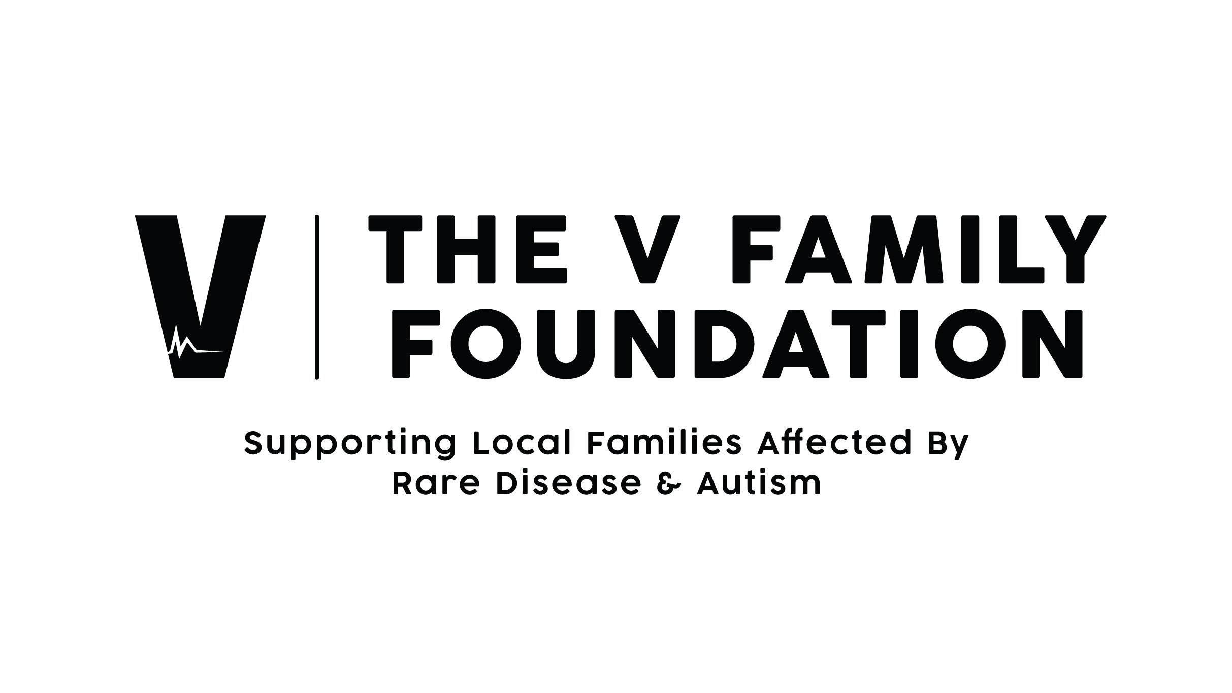 The Launch Of The V Family Foundation