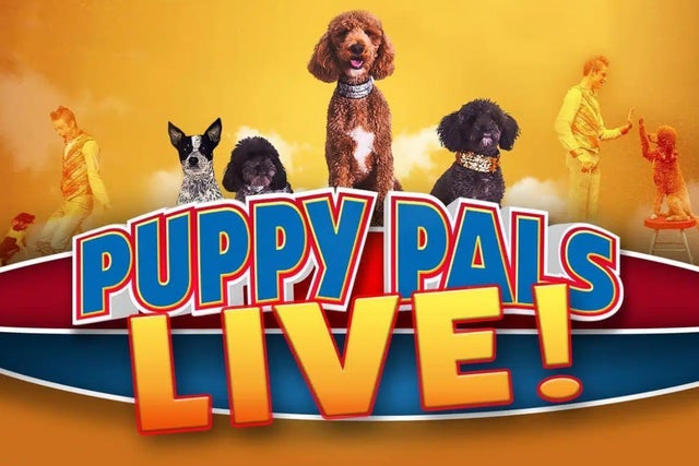 Puppy Pals Live