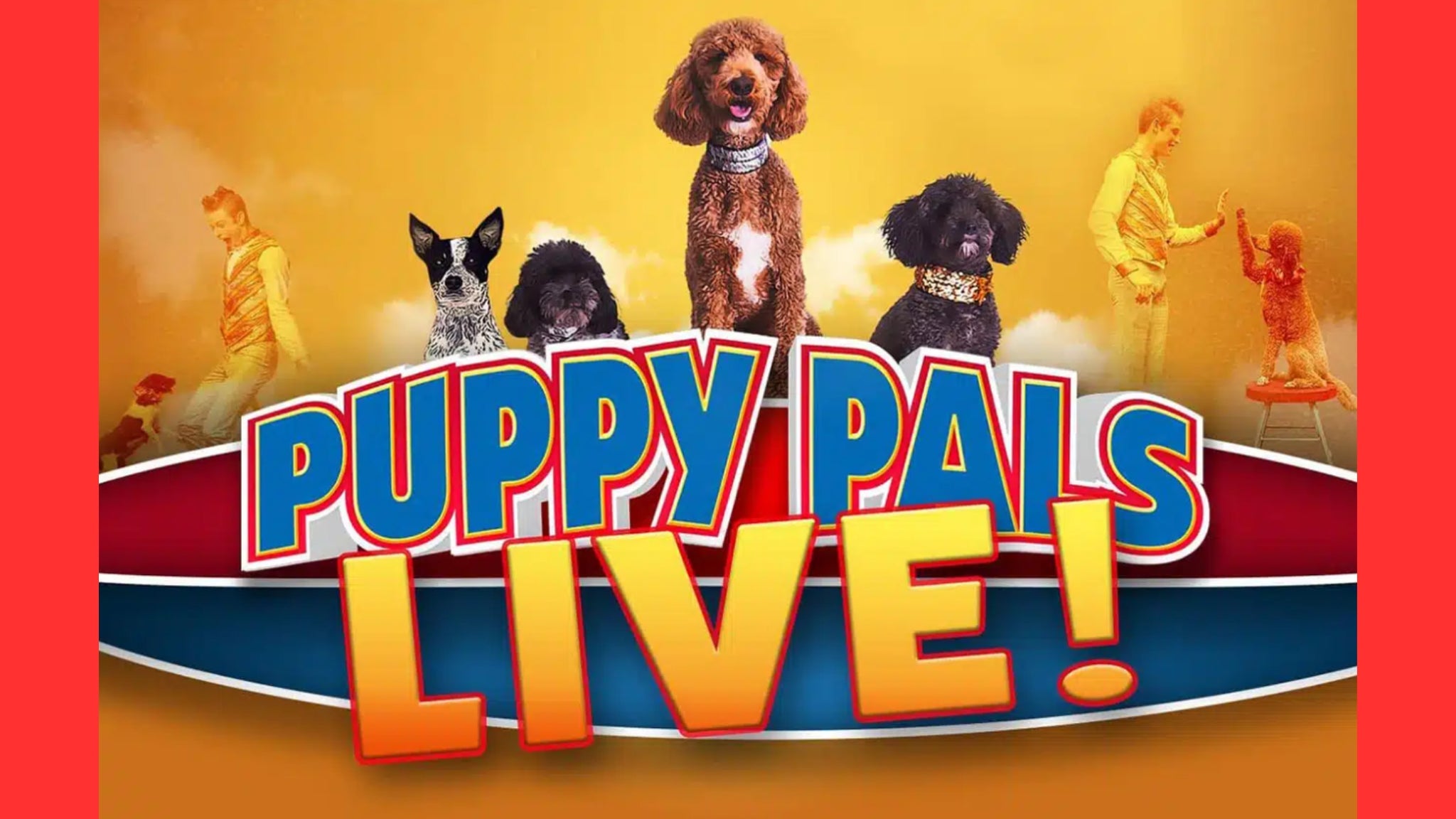 Puppy Pals Live