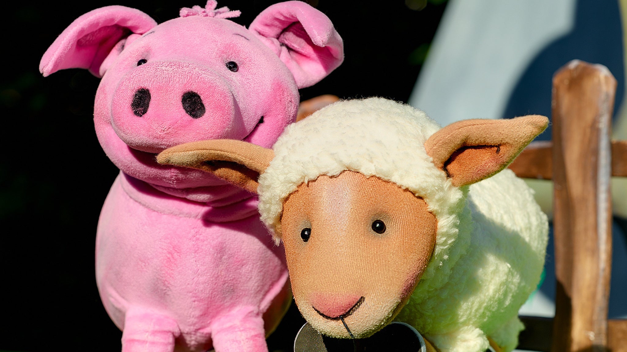 Das Schaf Charlotte und seine Freunde