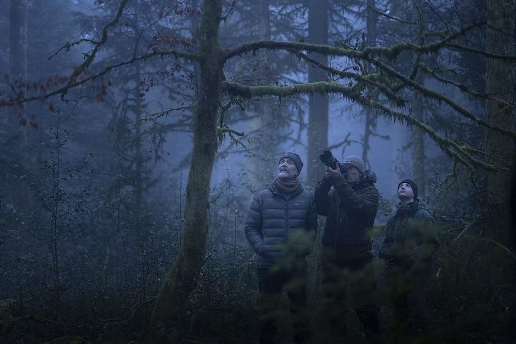 Cinema Caprera: Whispers in the Woods in Netherlands
