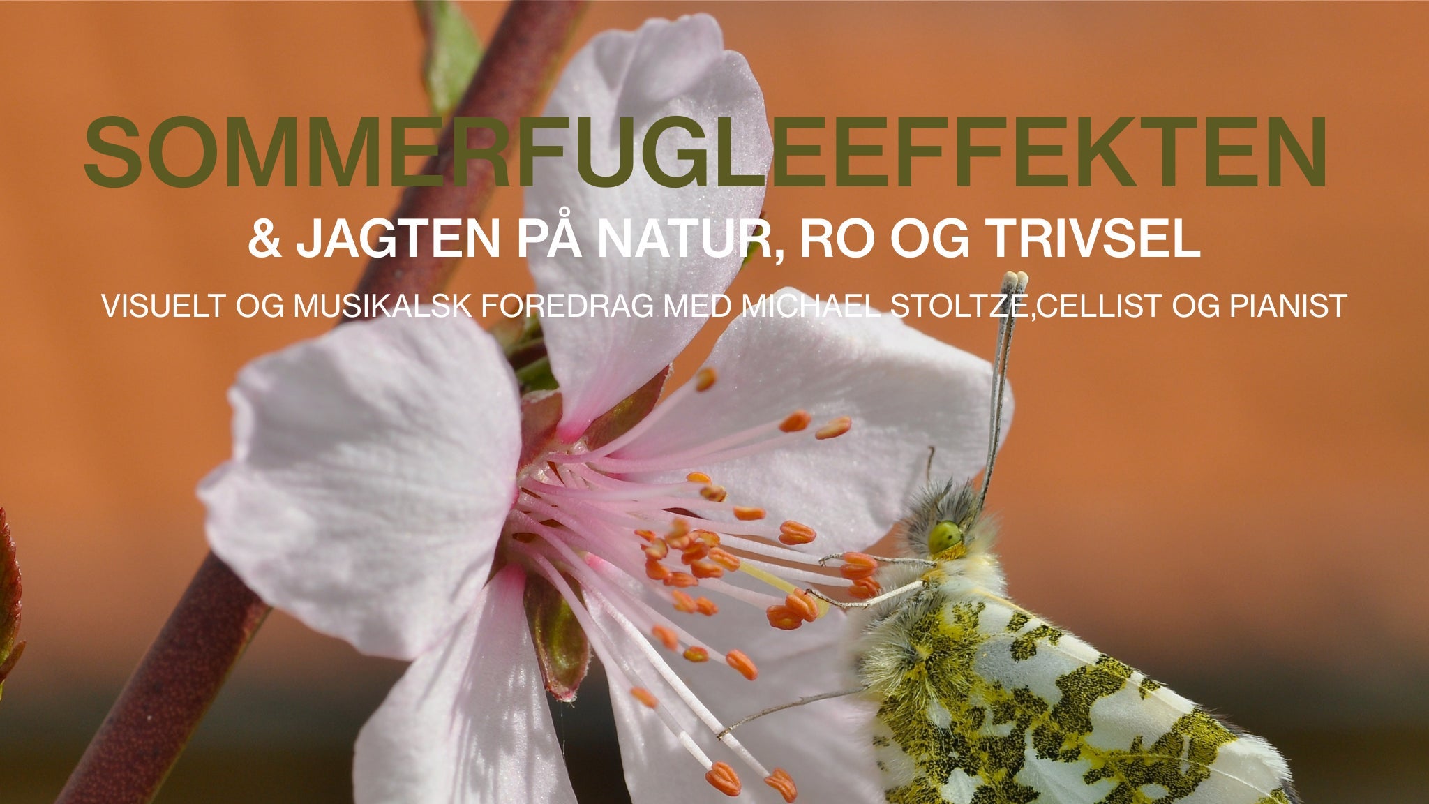 MICHAEL STOLTZE - SOMMERFUGLEFFEKTEN & JAGTEN PÅ NATUR, RO OG TRIVSEL