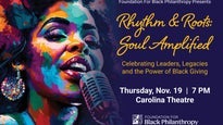 Rhythm & Roots: Soul Amplified