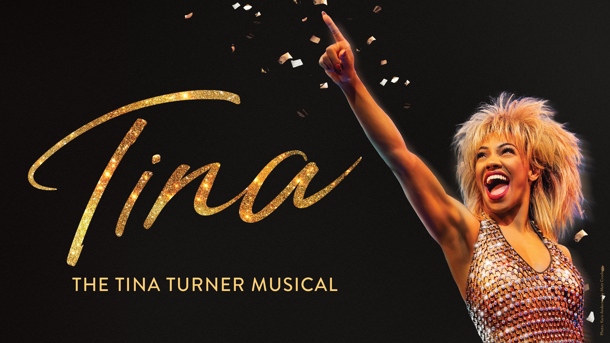TINA - The Tina Turner Musical (touring) in McAllen promotional photo for Subscriptions Discount presale tickets offer