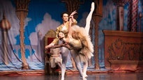 Centre Company presents The Nutcracker