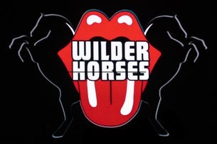 Wilder Horses: A Tribute To The Rolling Stones