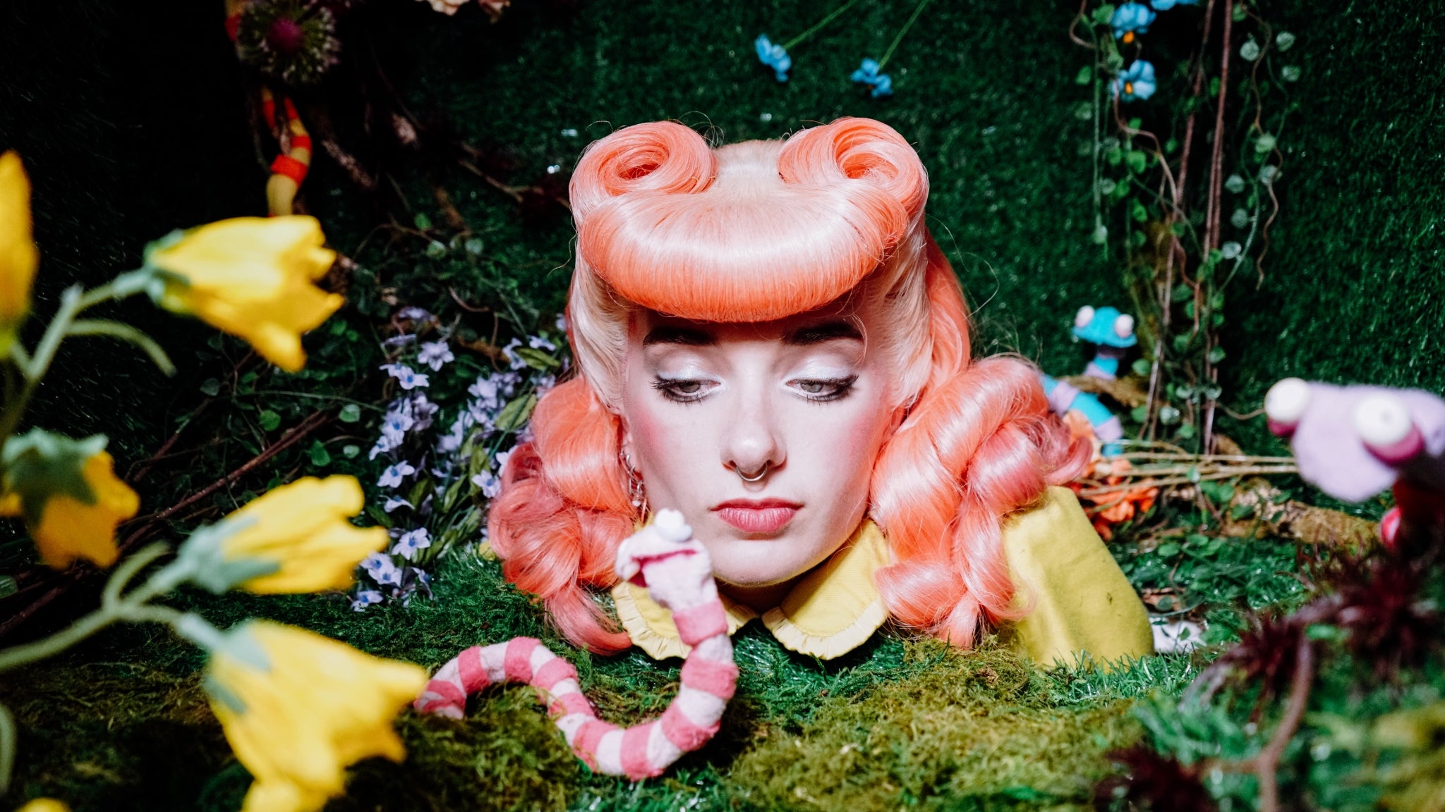 Sophie Truax concert image