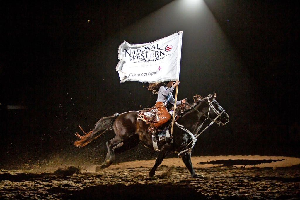 Dancing Horses - Sat. Jan. 24 7pm at NW Events Center/Cinch Arena, Elyria Swansea
