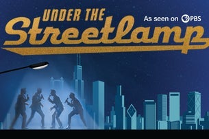 Under The Streetlamp
