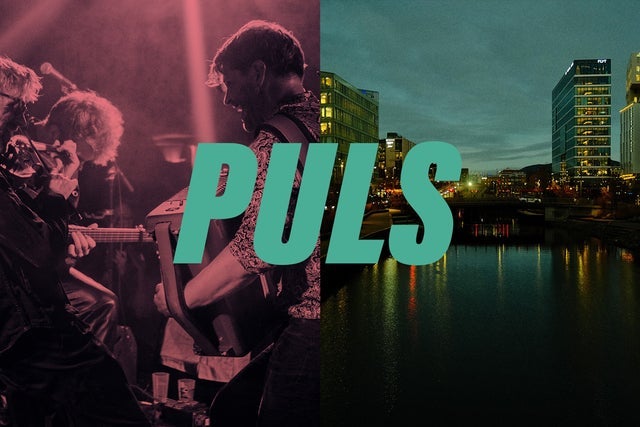Det Norske Kammerorkester // Nyttårskonsert - Puls