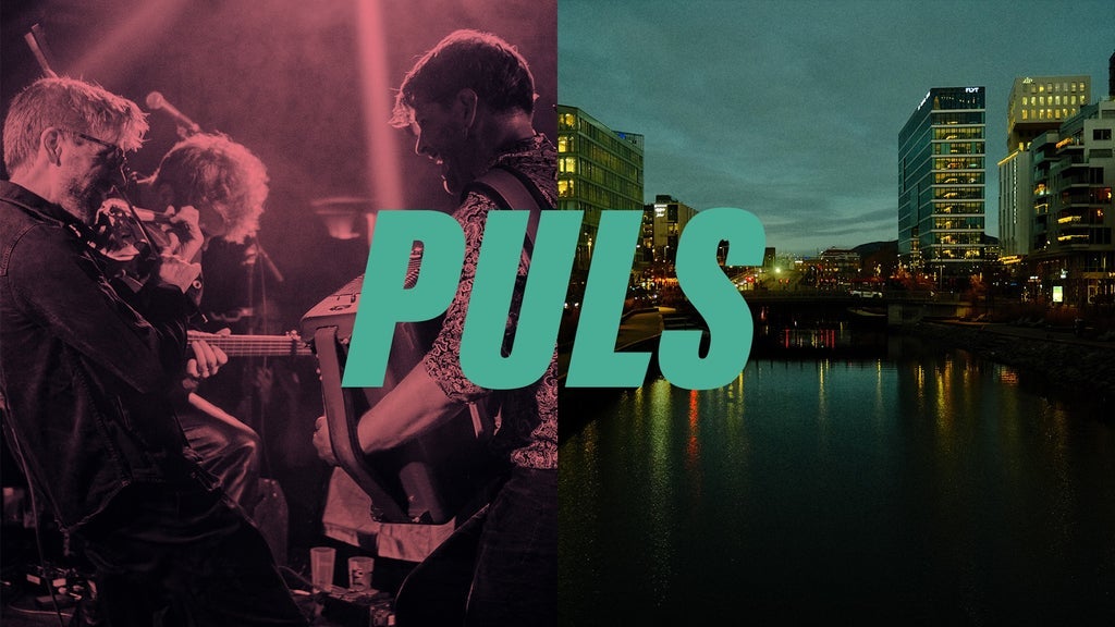 Det Norske Kammerorkester // Nyttårskonsert - Puls