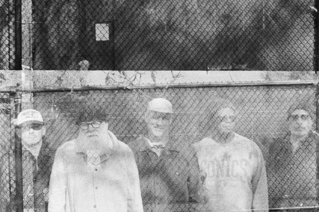 Tortoise presales in New York