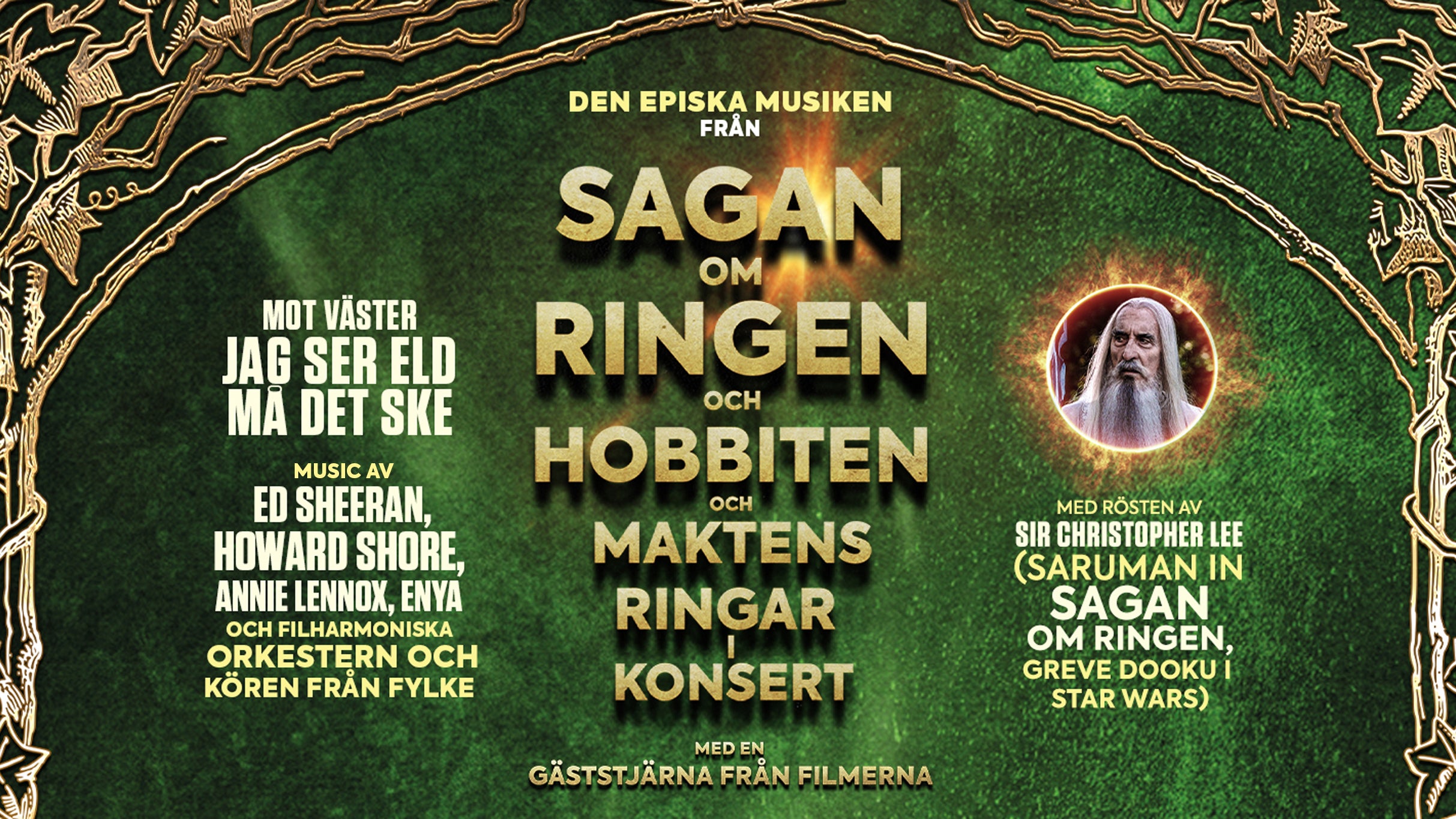 Sagan Om Ringen Hobbit och Maktens Ringar - In Concert