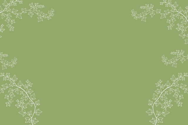 Bravo Academy's Senior Troupe Presents Anne & Gilbert Abridged