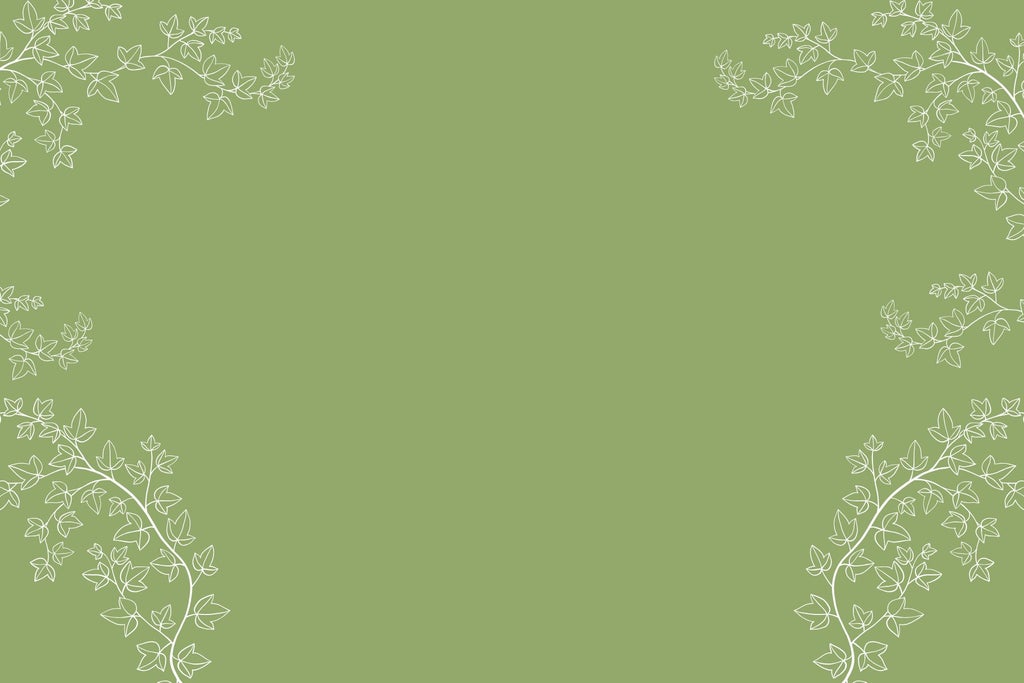 Bravo Academy''s Senior Troupe Presents Anne & Gilbert Abridged