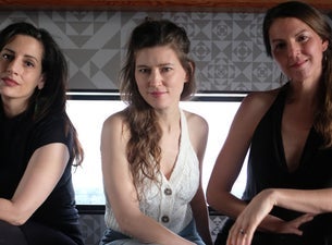 The Wailin' Jennys